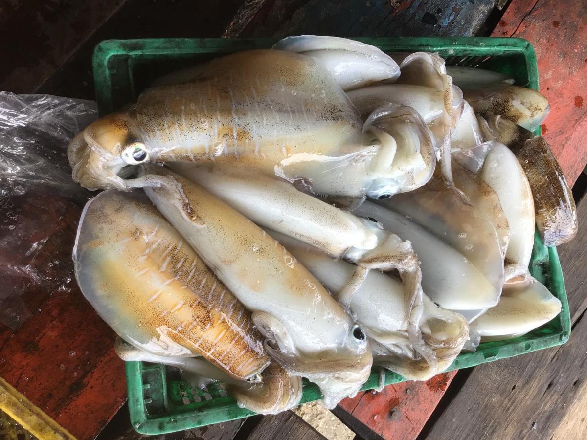 Homestay&Chaoleyseafoodrestaurant Ko Pu Extérieur photo